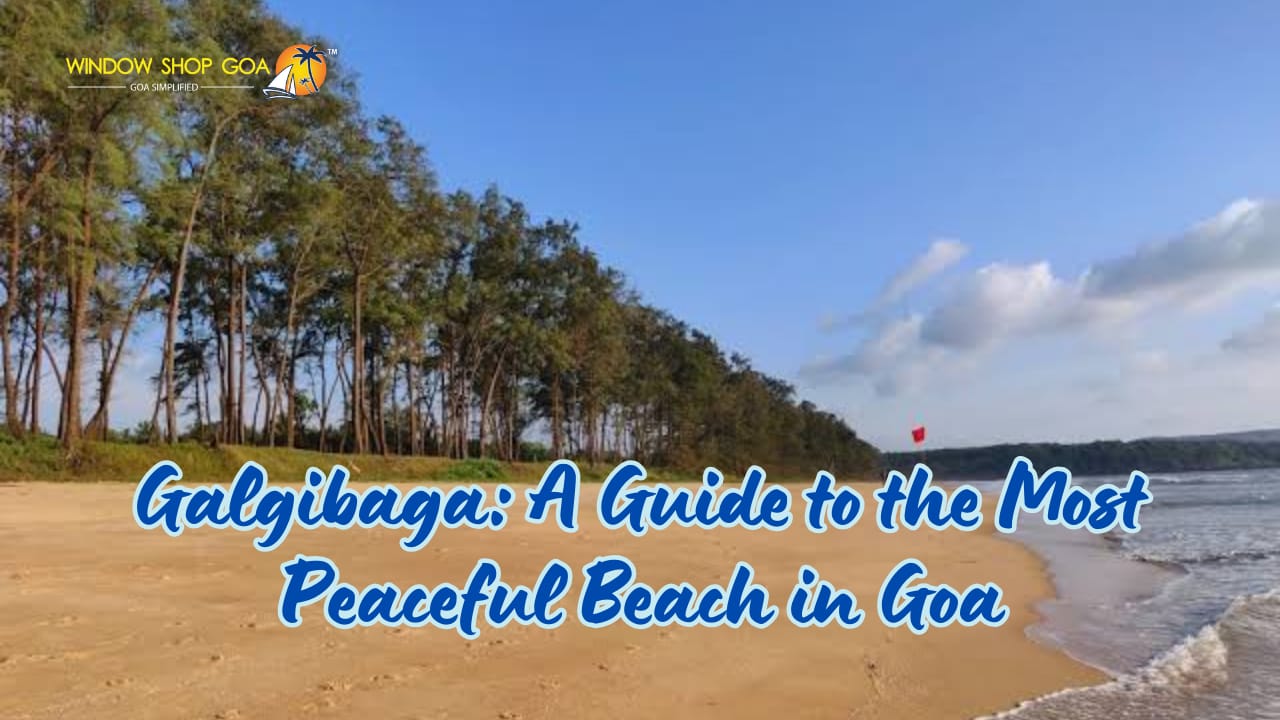 galgibaga-a-guide-to-the-most-peaceful-beach-in-goa